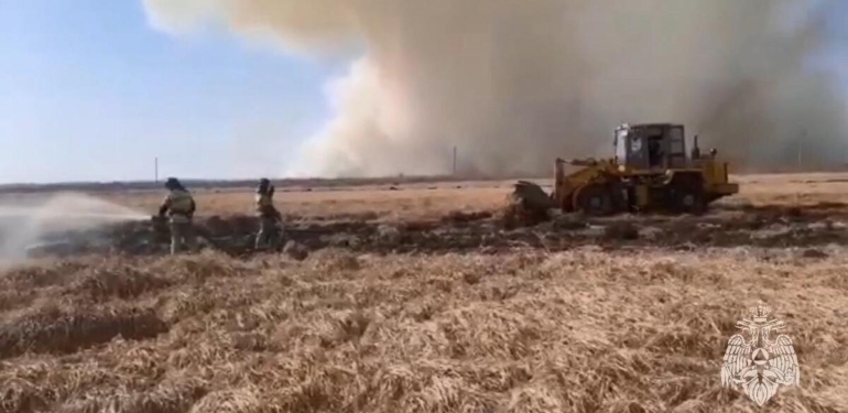 Rusya’da orman yangını sonrası çalı yangını devam ediyor