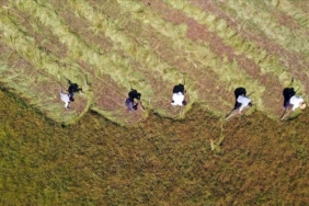 tarim-ufe-nisanda-aylik-bazda-yuzde-2,32-azaldi