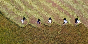 tarim-ufe-nisanda-aylik-bazda-yuzde-2,32-azaldi