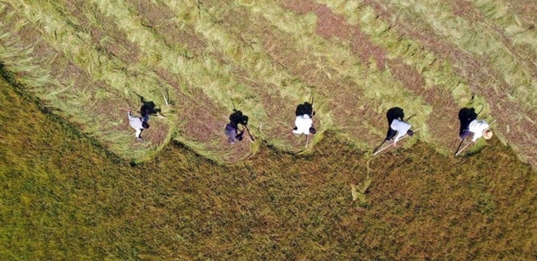 Tarım ÜFE nisanda aylık bazda yüzde 2,32 azaldı