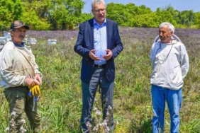 karacabey’de-longoz-ormanlarinda-gorsel-solen