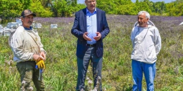 karacabey’de-longoz-ormanlarinda-gorsel-solen