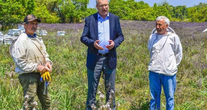 Karacabey’de Longoz ormanlarında görsel şölen