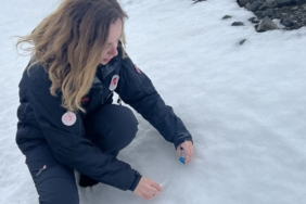 antarktika’dan-getirilen-mikroalgler-uzay-calismalarinda-kullanilacak