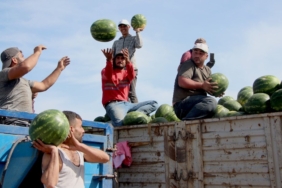 adana’da-turfanda-karpuz-hasadi-basladi