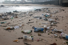 dunyanin-gelecegi-icin-donum-noktasi:-plastikleri-dusuk-sicaklikta-parcalayabilen-mikroorganizmalar-kesfedildi