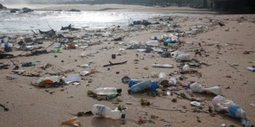 dunyanin-gelecegi-icin-donum-noktasi:-plastikleri-dusuk-sicaklikta-parcalayabilen-mikroorganizmalar-kesfedildi