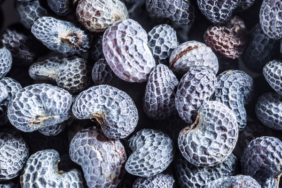 baliktan-daha-fazla-omega-3-iceriyor!-vucudu-vitamin-bombasina-ceviriyor