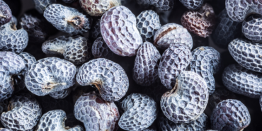 baliktan-daha-fazla-omega-3-iceriyor!-vucudu-vitamin-bombasina-ceviriyor