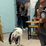 kazak-giydirdigi-kuzusuyla-sandik-basina-gitti