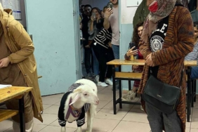 kazak-giydirdigi-kuzusuyla-sandik-basina-gitti