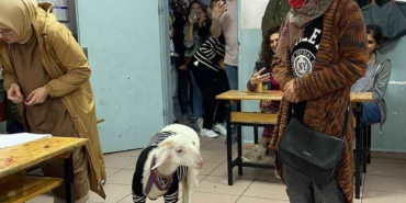 kazak-giydirdigi-kuzusuyla-sandik-basina-gitti