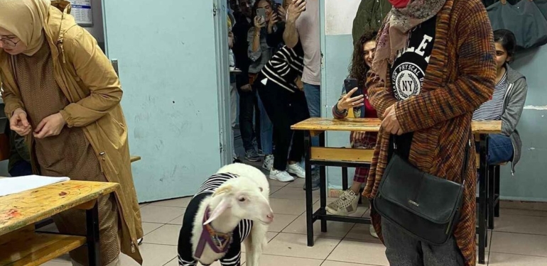 Kazak giydirdiği kuzusuyla sandık başına gitti