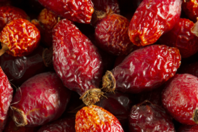 portakaldan-60-kat-fazla-c-vitamini-iceriyor!-bunu-yiyenler-hastalik-yuzu-gormuyor