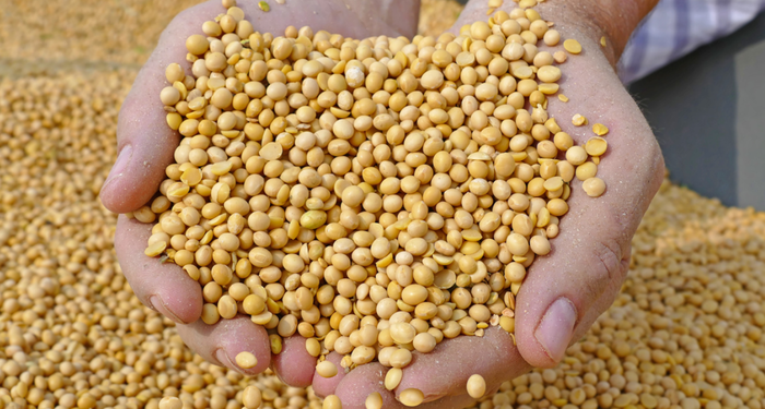 en-guclu-d-vitamini-kaynagi!-diyabete-ve-tehlikeli-hastaliklara-karsi-savas-aciyor