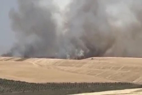 diyarbakir’da-100-donum-alanda-ekili-bugday-yandi