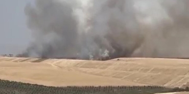 diyarbakir’da-100-donum-alanda-ekili-bugday-yandi