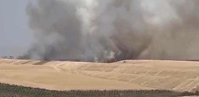 Diyarbakır’da 100 dönüm alanda ekili buğday yandı