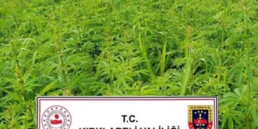 kirklareli’de-1-milyon-137-bin-kok-hint-keneviri-ele-gecirildi