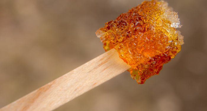 Yüksek antioksidan ve mineral içeriyor! Bir tek ölüme çaresi yok