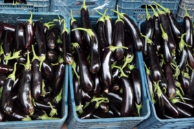 halde-kilosu-2-tl-olan-patlicanin-sofrada-kilosu-18-tl