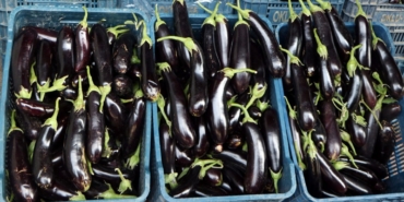 halde-kilosu-2-tl-olan-patlicanin-sofrada-kilosu-18-tl